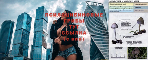 синтетический гашиш Вязьма